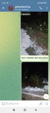 Screenshot_2025-02-23-00-16-26-567_org.telegram.messenger.jpg