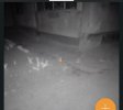 IMG_3221.jpeg