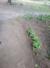 IMG_3225.jpeg