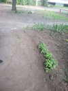 IMG_3226.jpeg