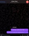 IMG_3238.jpeg