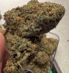 IMG_5063.jpeg