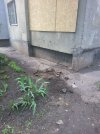 IMG_3288.jpeg