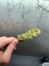 IMG_8672.jpeg