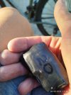 IMG_20250515_152416_719.jpg