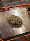 IMG_8472.jpeg