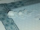 IMG_8469.jpeg