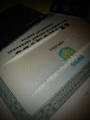 IMG_8460.jpeg
