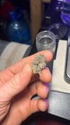 IMG_8450.jpeg