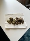 IMG_8451.jpeg