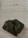 IMG_0412.jpeg