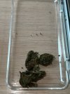 IMG_0413.jpeg