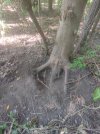 IMG_20250727_160240.jpg