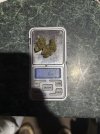 IMG_0401.jpeg
