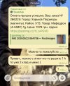 IMG_0770.jpeg