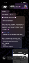 IMG_7243.png