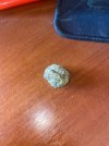 IMG_4873.jpeg