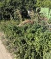 IMG_1641.jpeg