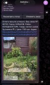 IMG_1687.jpeg