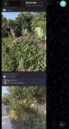 IMG_1680.jpeg
