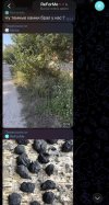 IMG_1677.jpeg
