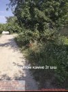 IMG_1692.jpeg