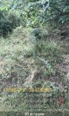 20260927_004639.jpg