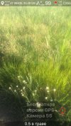 20260927_004648.jpg