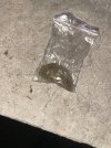 IMG_5003.jpeg