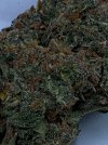 IMG_4246 (1).jpeg