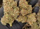 IMG_20261011_211254_348.jpg