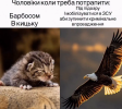 Снимок экрана 2026-10-18 140641.png