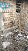 IMG_20210305_170309_857.jpg