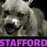 STAFFORD1