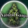 ♥♥♥ NATURAL_GANJA ♥♥♥