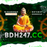 BDH247.CC