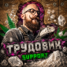 Трудовик Сапорт