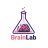 🧠BrainLab