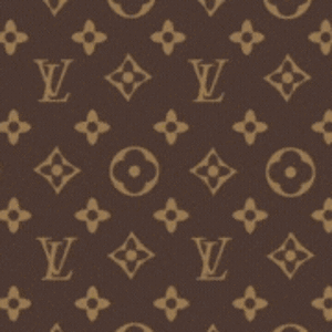 Louis-Vuitton.gif