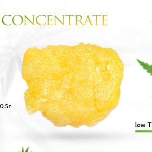 WAX-concentrate-20241106120034.jpg